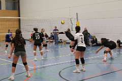 53: VG1 VG4 VG5 17-01.26-61