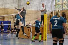 50: VG3 VG5 04-10-25-49