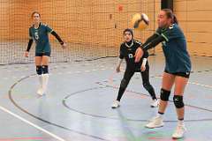 7: VG3 VG5 04-10-25-7