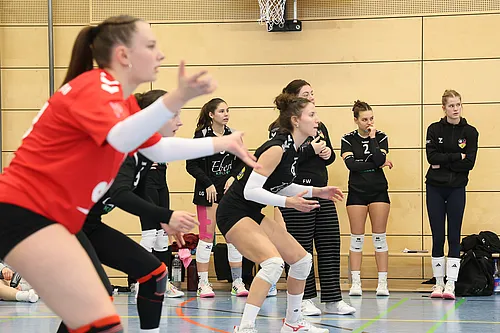 U20 NB