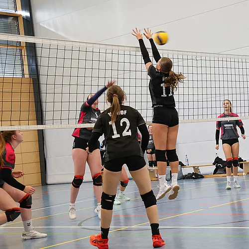U20 U16 U12