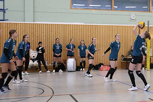 VG3
