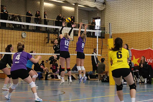 VG1 VG4 VG5