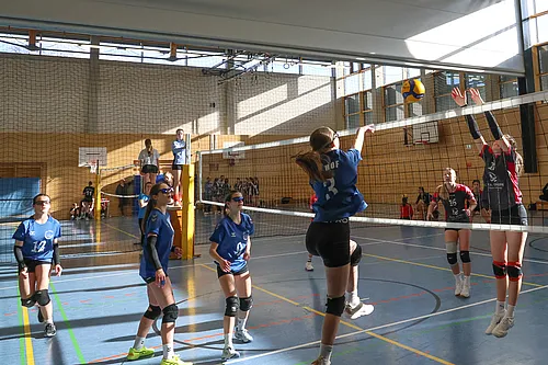U16 OM