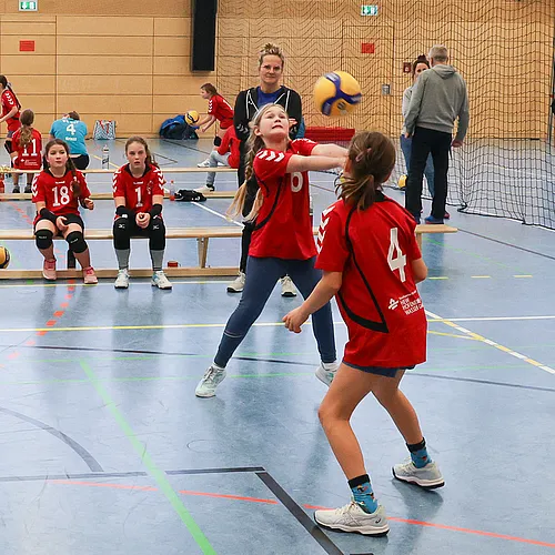 NB U12w