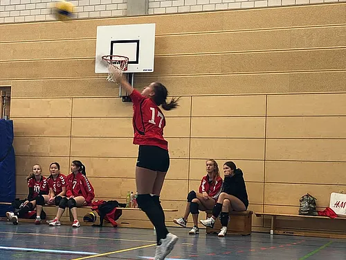 U16 U18