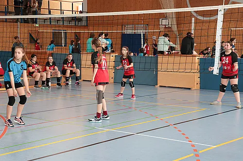 U13 NB