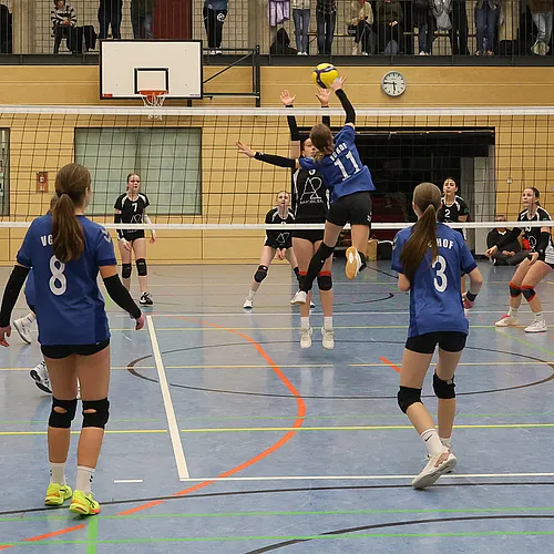 U16 OM