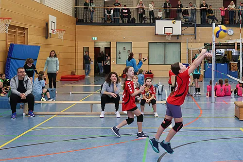 NB U12w
