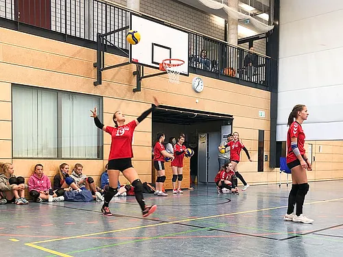 U16 U18