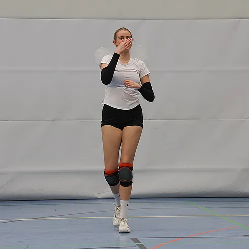 Fasching