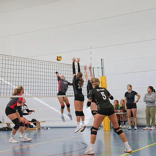 U20 U16 U12