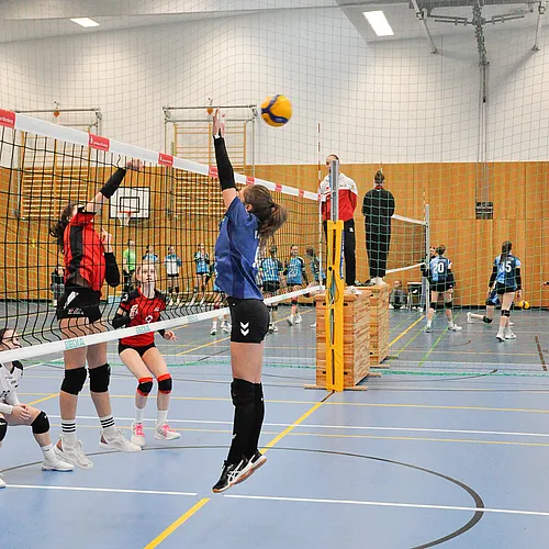 U16 BM