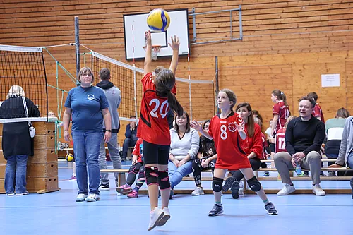 U12