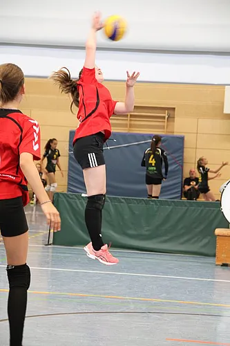 2. Schlappencup