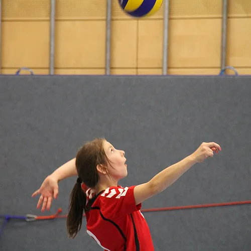 2. Schlappencup