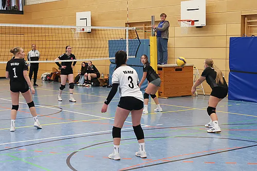 VG1 VG4 VG5