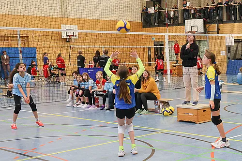 NB U12w