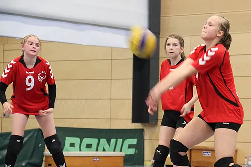 2. Schlappencup