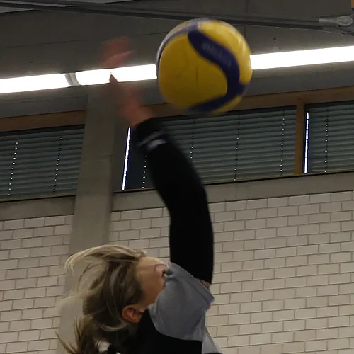 VG1