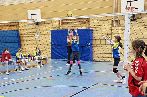 NB U12w