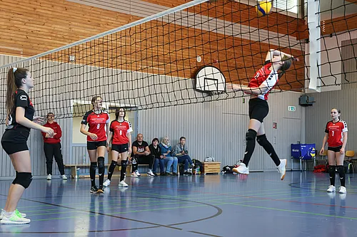 U14 NB