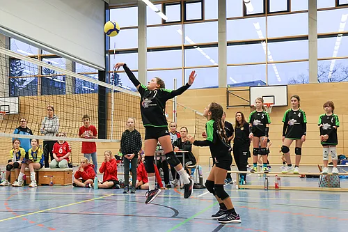NB U12w