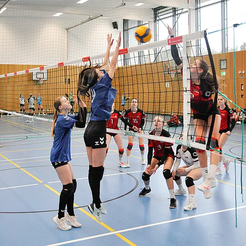 U16 BM