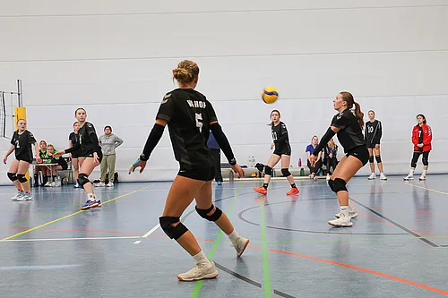 U20 U16 U12