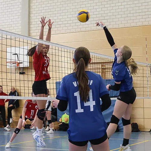 U16 OM