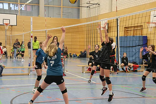 U12 OM