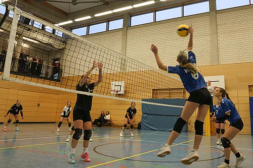 VG1 VG4 VG5