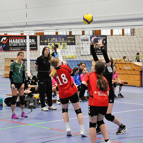 U13 NB
