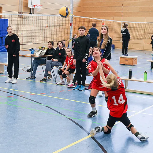 NB U12w