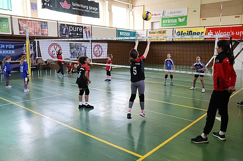 U11
