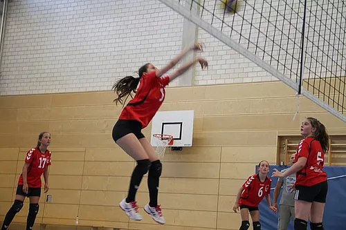 2. Schlappencup