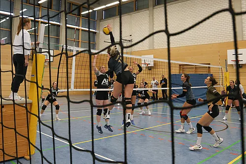 VG1