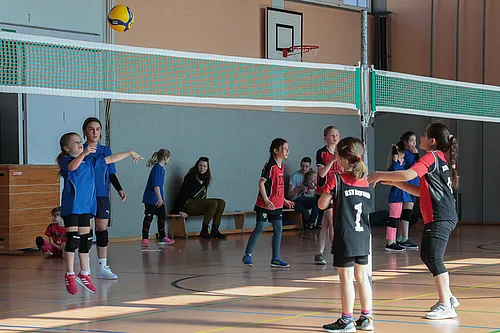 U11