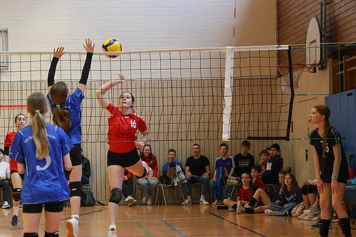U14 NB