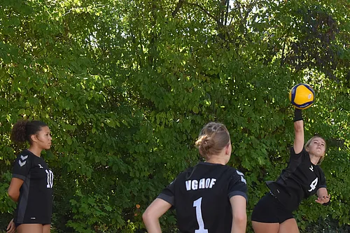 VG4