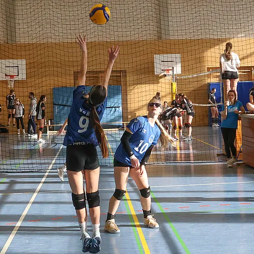 U16 OM