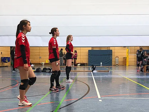 U16 U18