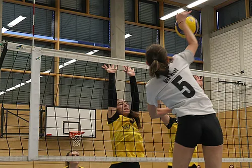 VG1