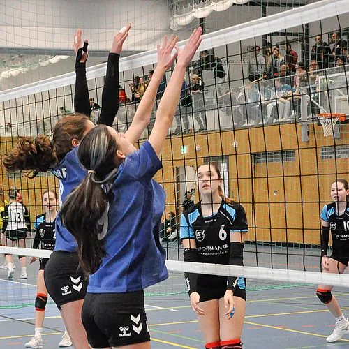 U16 BM