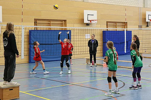 NB U12w