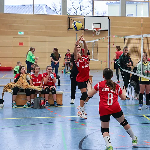 NB U12w