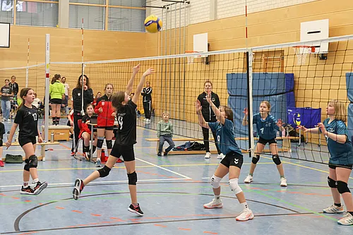 U12 OM