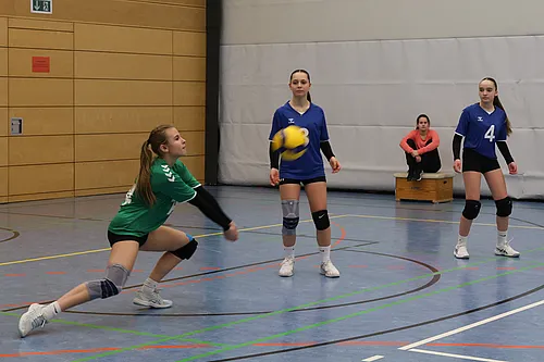 VG1 VG4 VG5