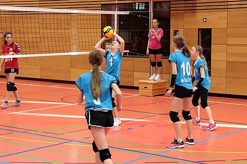 U11 U15