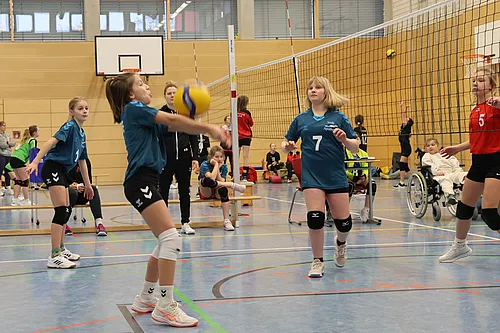 U12 OM